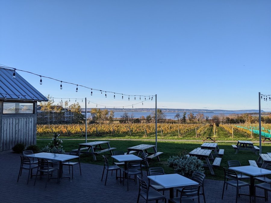Lightfoot & Wolfville Winery patio view (from Susan Hollander via Google, Oct 2022)